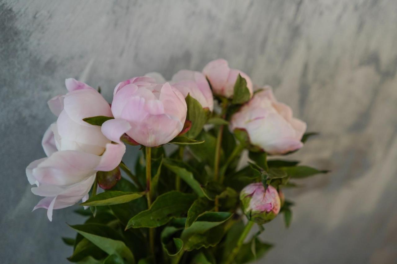 Gardenhill Vienna 아파트 외부 사진
